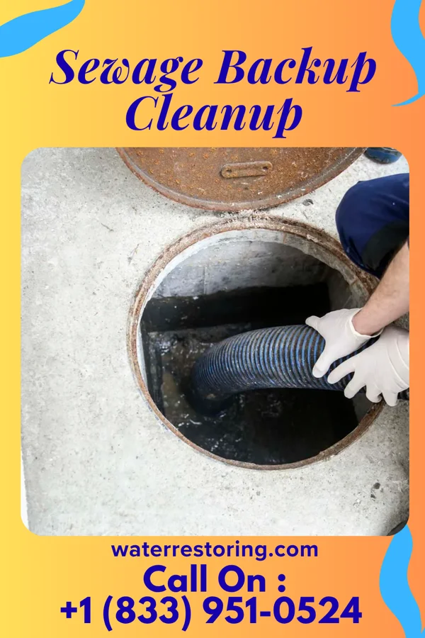 Sewage Backup Cleanup in Mount Healthy, OH