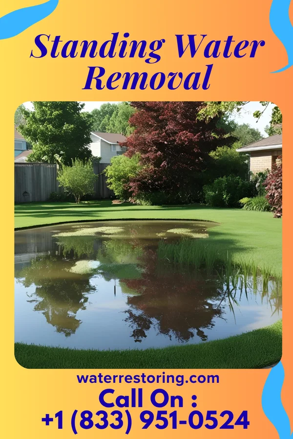 Standing Water Removal in Mount Healthy, OH